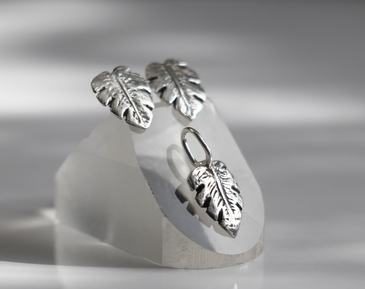 Elegant Silver Earrings